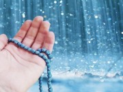 ۲۷۴۴۲۹۳_۷۵۳